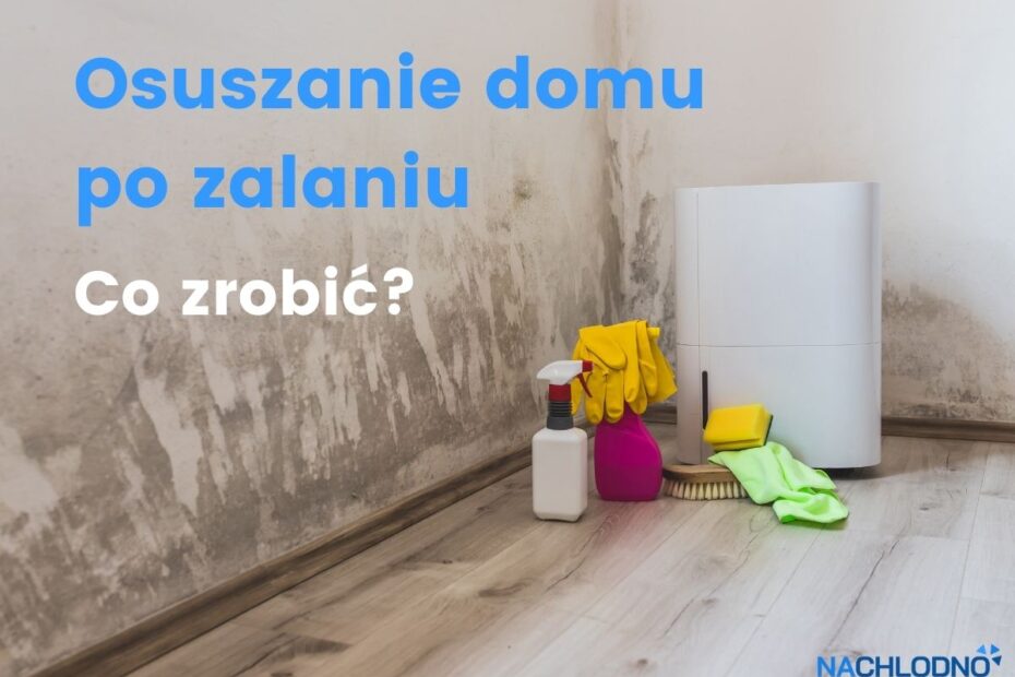Osuszanie mieszkania, domu po zalaniu - artykuł nachlodno.pl
