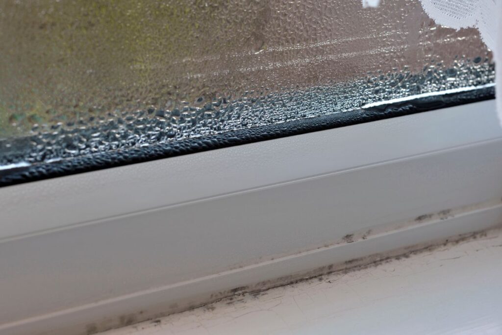 Parowanie okien może sprzyjać powstawaniu pleśni