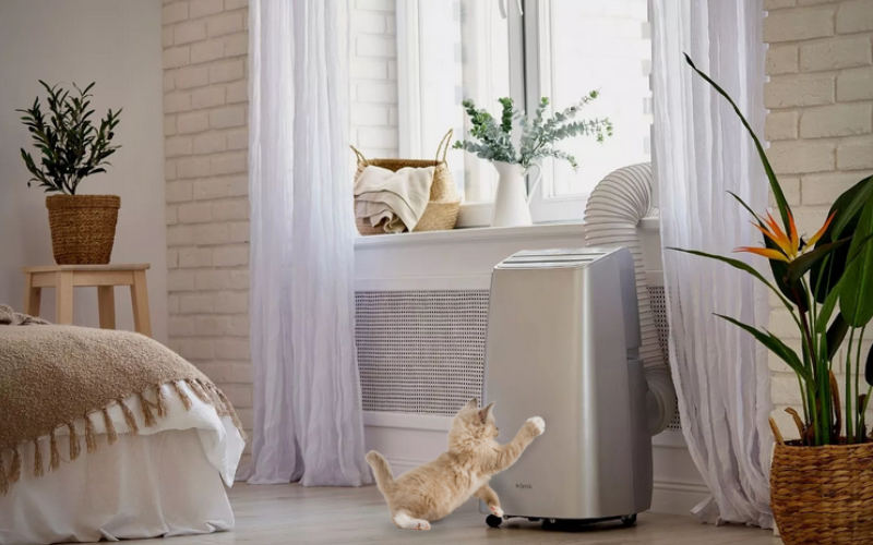 Klimatyzator przenośny i kot